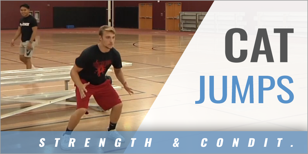 Cat Jumps Sprint Training with Tony Holler Plainfield North High