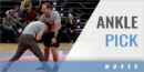 Ankle Pick with J Jaggers – Ohio State Univ.