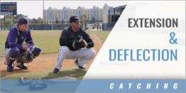 Catching: Extension & Deflection