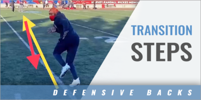 DB Transition Steps