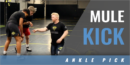 Mule Kick Ankle Pick with Marcus Hoehn – Thoroughbred Wrestling Academy