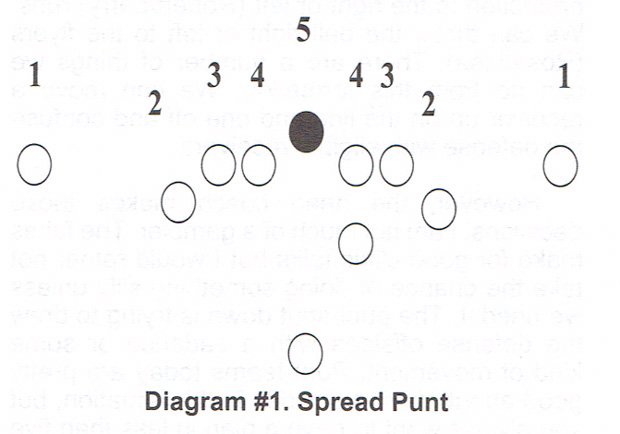 Spread Punt Protection: Theory and Practice