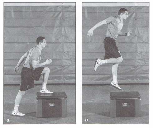 Box Jumps One Leg